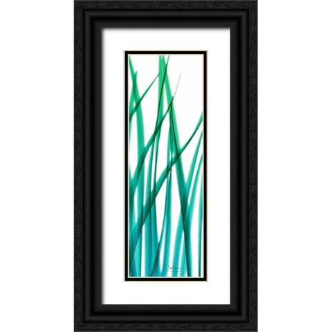 Snow Drop Flowing Blue Green 2 Black Ornate Wood Framed Art Print with Double Matting by Koetsier, Albert