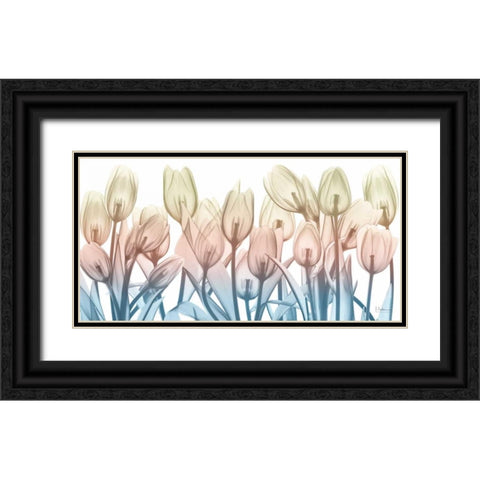 Spring Blooms Black Ornate Wood Framed Art Print with Double Matting by Koetsier, Albert