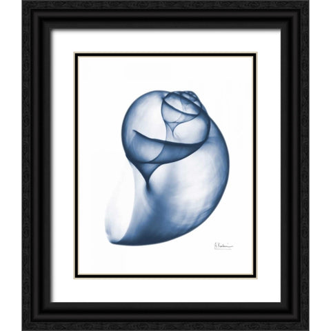 Indigo Water Snail Black Ornate Wood Framed Art Print with Double Matting by Koetsier, Albert