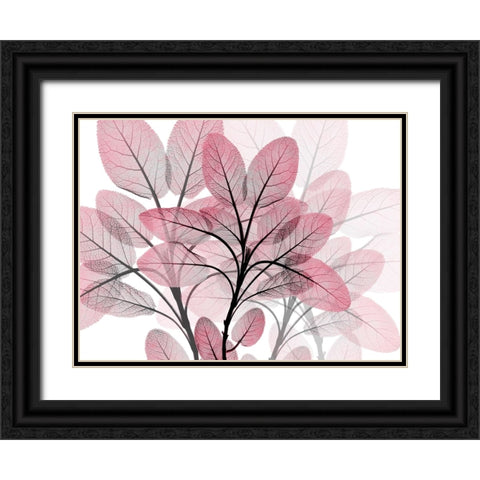 Magenta Embrace 1 Black Ornate Wood Framed Art Print with Double Matting by Koetsier, Albert