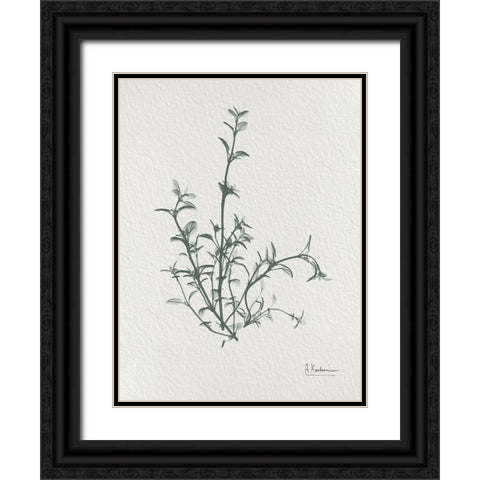 Thymus Vulgaris 2 Black Ornate Wood Framed Art Print with Double Matting by Koetsier, Albert