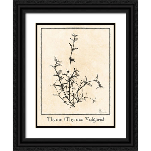 Thymus Vulgaris Black Ornate Wood Framed Art Print with Double Matting by Koetsier, Albert