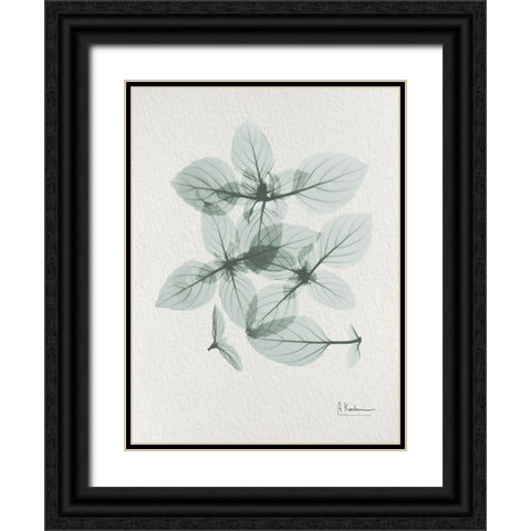 Basil Ocimum Basilicum 2 Black Ornate Wood Framed Art Print with Double Matting by Koetsier, Albert