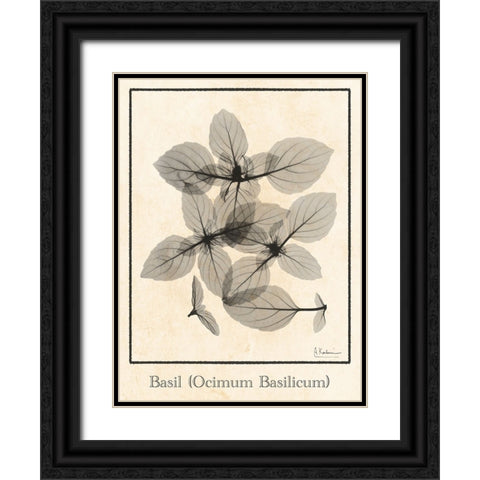 Basil Ocimum Basilicum Black Ornate Wood Framed Art Print with Double Matting by Koetsier, Albert