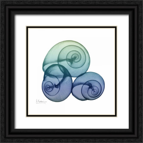 Sea Sky Snails Black Ornate Wood Framed Art Print with Double Matting by Koetsier, Albert