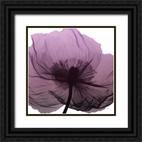 Poppy Purple Black Ornate Wood Framed Art Print with Double Matting by Koetsier, Albert