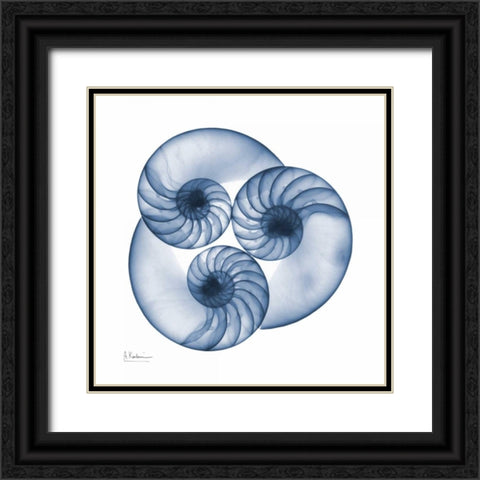 Indigo Nautilus Trio Black Ornate Wood Framed Art Print with Double Matting by Koetsier, Albert