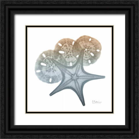 Earthy Hues Starfish and Sand Dollar Black Ornate Wood Framed Art Print with Double Matting by Koetsier, Albert