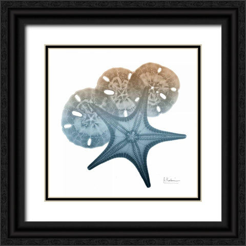 Steel Hues Starfish and Sand Dollar Black Ornate Wood Framed Art Print with Double Matting by Koetsier, Albert