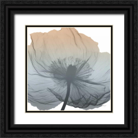 Poppy Earthy Beauty Black Ornate Wood Framed Art Print with Double Matting by Koetsier, Albert