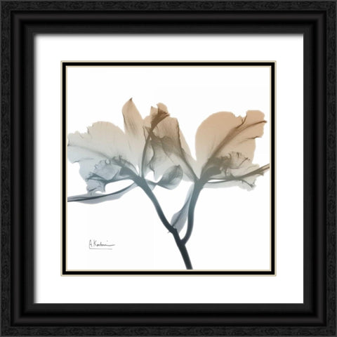 Earthy Orchid Black Ornate Wood Framed Art Print with Double Matting by Koetsier, Albert