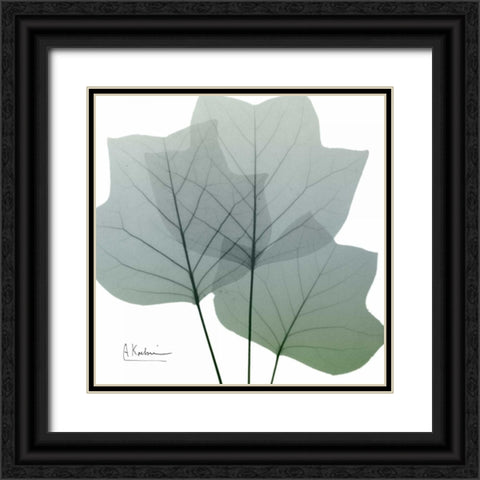 Rainy Tulip Tree Black Ornate Wood Framed Art Print with Double Matting by Koetsier, Albert