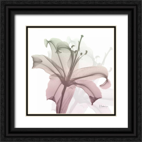 Neapolitan Lily Black Ornate Wood Framed Art Print with Double Matting by Koetsier, Albert