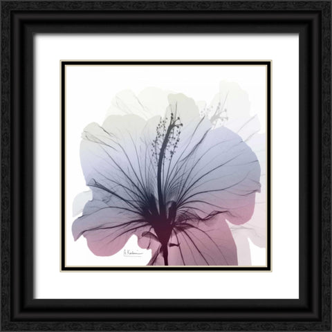 Tasty Grape Hibiscus Black Ornate Wood Framed Art Print with Double Matting by Koetsier, Albert