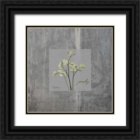 Concrete Parsley Black Ornate Wood Framed Art Print with Double Matting by Koetsier, Albert