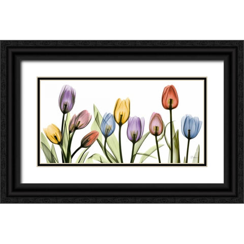 Tulipscape Black Ornate Wood Framed Art Print with Double Matting by Koetsier, Albert