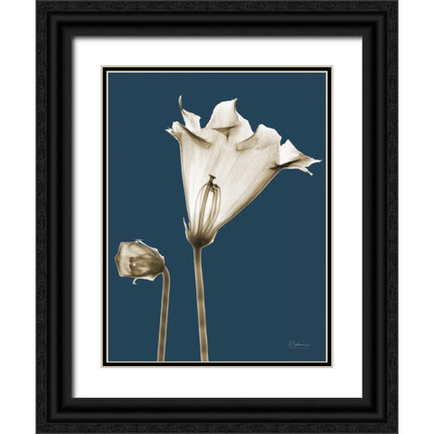 Gloxinia TOP Black Ornate Wood Framed Art Print with Double Matting by Koetsier, Albert