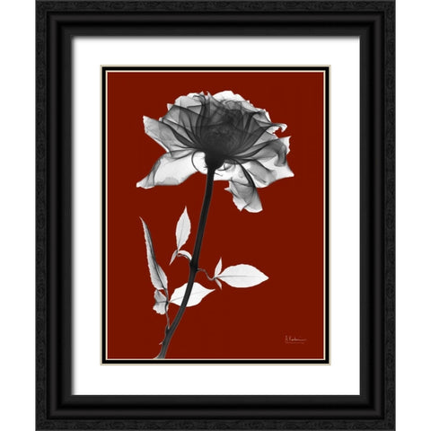 Red Rose Black Ornate Wood Framed Art Print with Double Matting by Koetsier, Albert