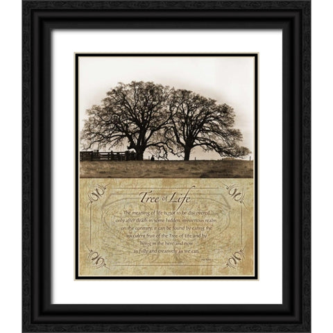 Costa Country Black Ornate Wood Framed Art Print with Double Matting by Koetsier, Albert