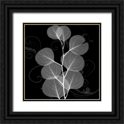 Eucalyptus E196 Black Ornate Wood Framed Art Print with Double Matting by Koetsier, Albert