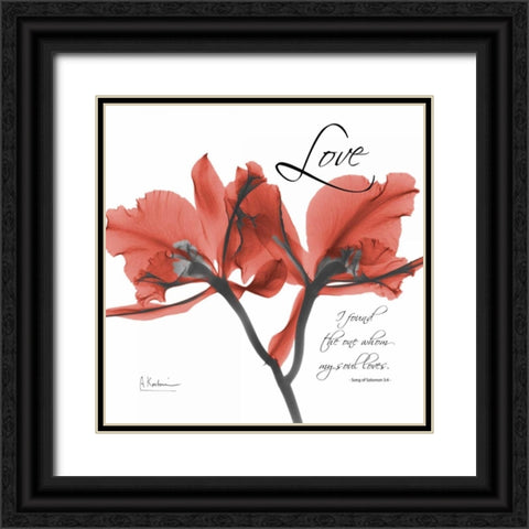 Royal Red Orchid - Love Again Black Ornate Wood Framed Art Print with Double Matting by Koetsier, Albert