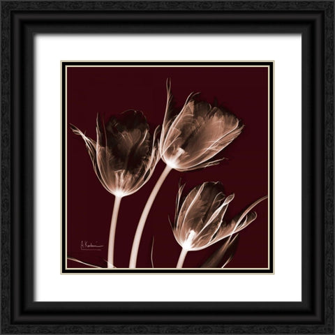 Tabitha Tulip Trio Black Ornate Wood Framed Art Print with Double Matting by Koetsier, Albert