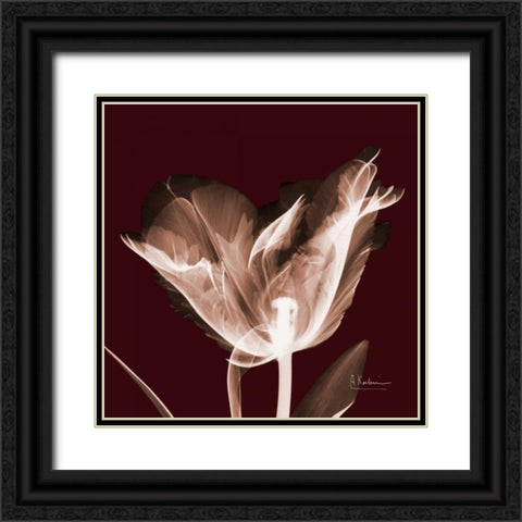 Tabitha Tulip Single Black Ornate Wood Framed Art Print with Double Matting by Koetsier, Albert