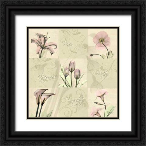 Spring Squares 1 Black Ornate Wood Framed Art Print with Double Matting by Koetsier, Albert