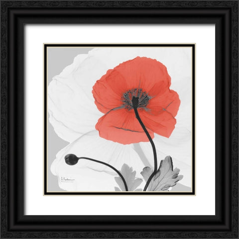 Poppy Princess Black Ornate Wood Framed Art Print with Double Matting by Koetsier, Albert