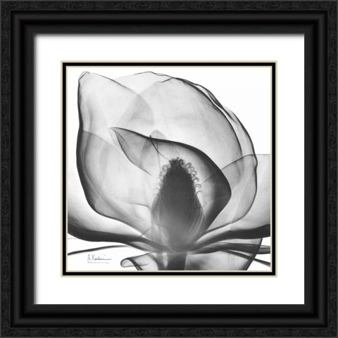 Magnolia A43 Black Ornate Wood Framed Art Print with Double Matting by Koetsier, Albert