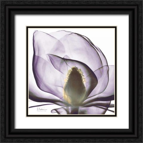 Precious Orchid in Purple Close Black Ornate Wood Framed Art Print with Double Matting by Koetsier, Albert