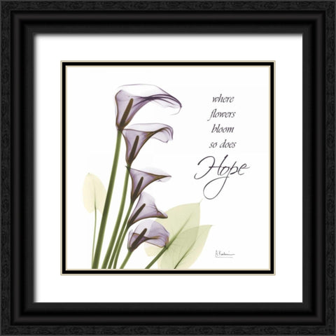 Swaying Callas - Hope Black Ornate Wood Framed Art Print with Double Matting by Koetsier, Albert