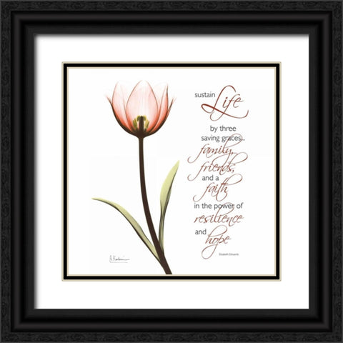 Swaying Tulip Pink - Life Black Ornate Wood Framed Art Print with Double Matting by Koetsier, Albert