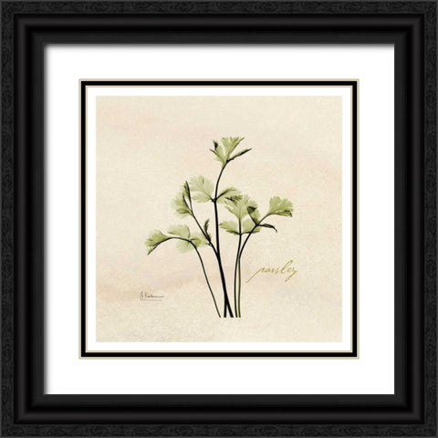 Parsley in Bloom Black Ornate Wood Framed Art Print with Double Matting by Koetsier, Albert