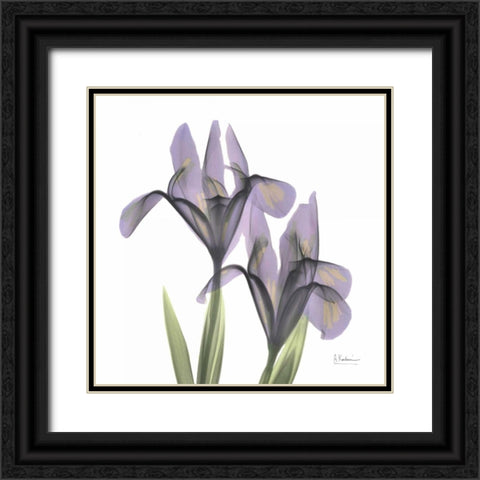 A Gift of Flowers in Purple Black Ornate Wood Framed Art Print with Double Matting by Koetsier, Albert