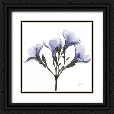 Crocuss in Purple Black Ornate Wood Framed Art Print with Double Matting by Koetsier, Albert