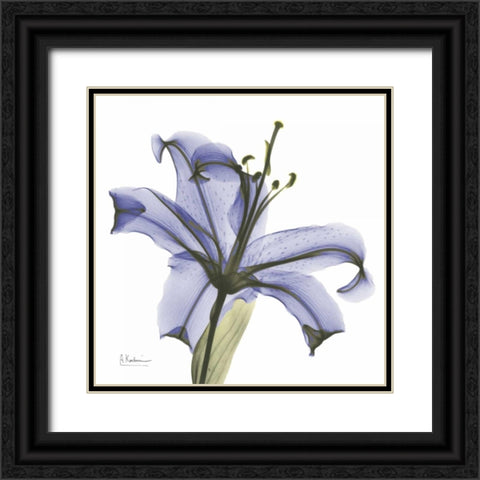 Lily in  Purple Black Ornate Wood Framed Art Print with Double Matting by Koetsier, Albert