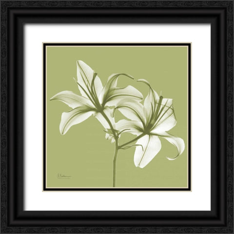 Twin Lilies on Pale Green Black Ornate Wood Framed Art Print with Double Matting by Koetsier, Albert