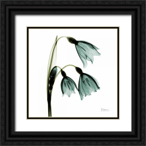 Three Tulips in Green Black Ornate Wood Framed Art Print with Double Matting by Koetsier, Albert