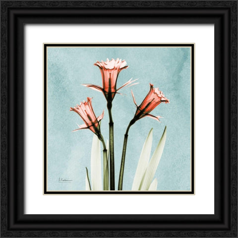 Daffodil Believe Black Ornate Wood Framed Art Print with Double Matting by Koetsier, Albert