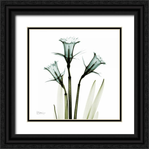 Three Daffodils in Green Black Ornate Wood Framed Art Print with Double Matting by Koetsier, Albert