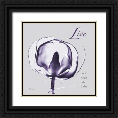 Plum Magnolia Live Black Ornate Wood Framed Art Print with Double Matting by Koetsier, Albert