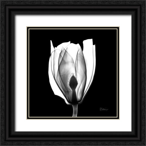 Beautiful Bulb on Black Black Ornate Wood Framed Art Print with Double Matting by Koetsier, Albert