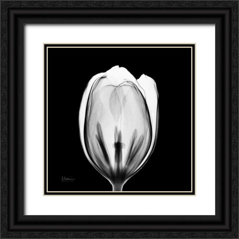 Beautiful Bulb on Black 2 Black Ornate Wood Framed Art Print with Double Matting by Koetsier, Albert