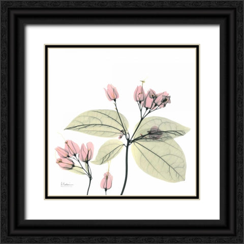 Pretty Pink Blooms 2 Black Ornate Wood Framed Art Print with Double Matting by Koetsier, Albert