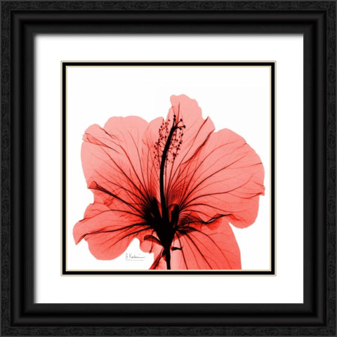 Close Up of Red Beauty Black Ornate Wood Framed Art Print with Double Matting by Koetsier, Albert
