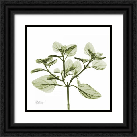 Green Leaves in Bloom 2 Black Ornate Wood Framed Art Print with Double Matting by Koetsier, Albert