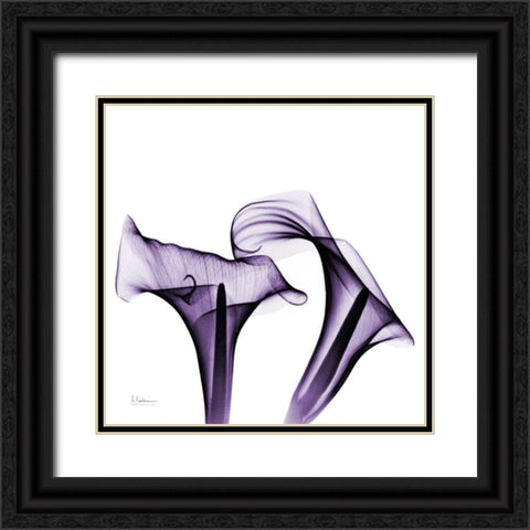 Violet Calla Twins Black Ornate Wood Framed Art Print with Double Matting by Koetsier, Albert