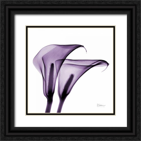 Violet Calla Twins 2 Black Ornate Wood Framed Art Print with Double Matting by Koetsier, Albert