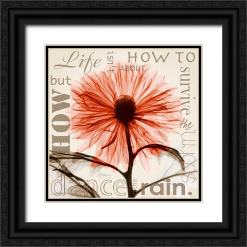 Chrysanthemum Life Black Ornate Wood Framed Art Print with Double Matting by Koetsier, Albert